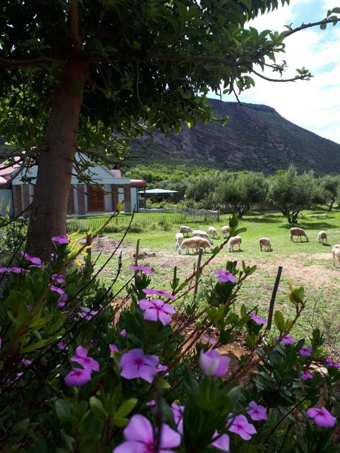 Baviaanskloof Landhuis Studtis Zewnętrze zdjęcie